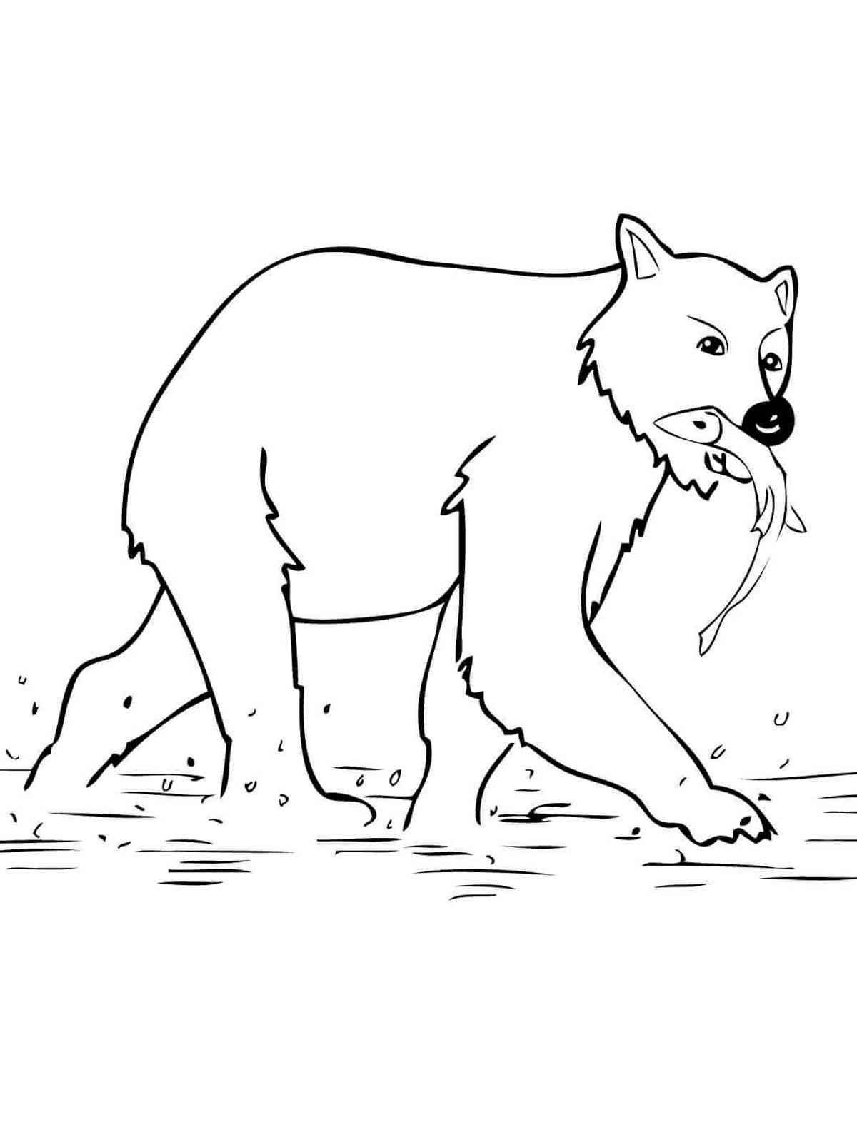 126 Brown Bear Coloring Pages Printable 69