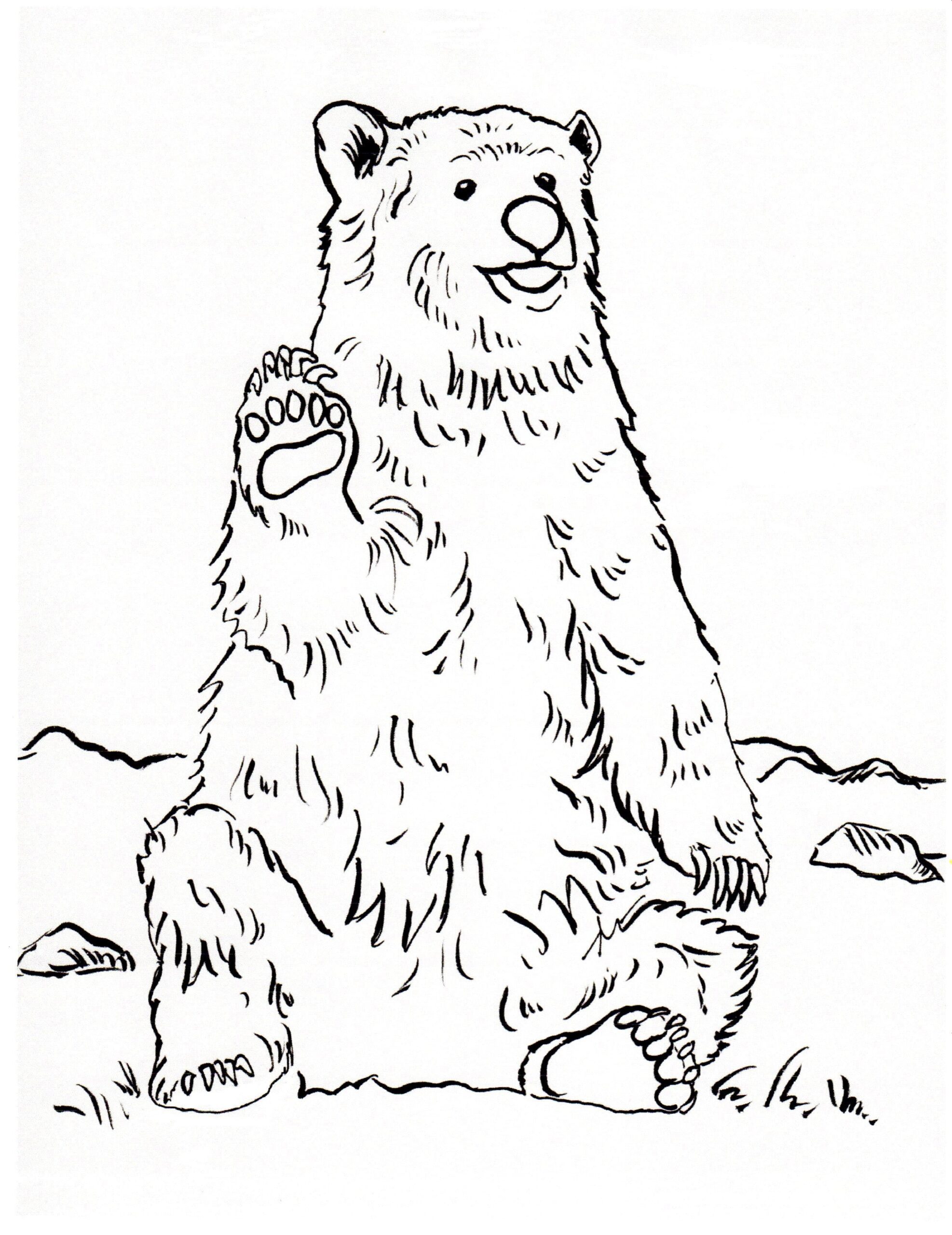 126 Brown Bear Coloring Pages Printable 8