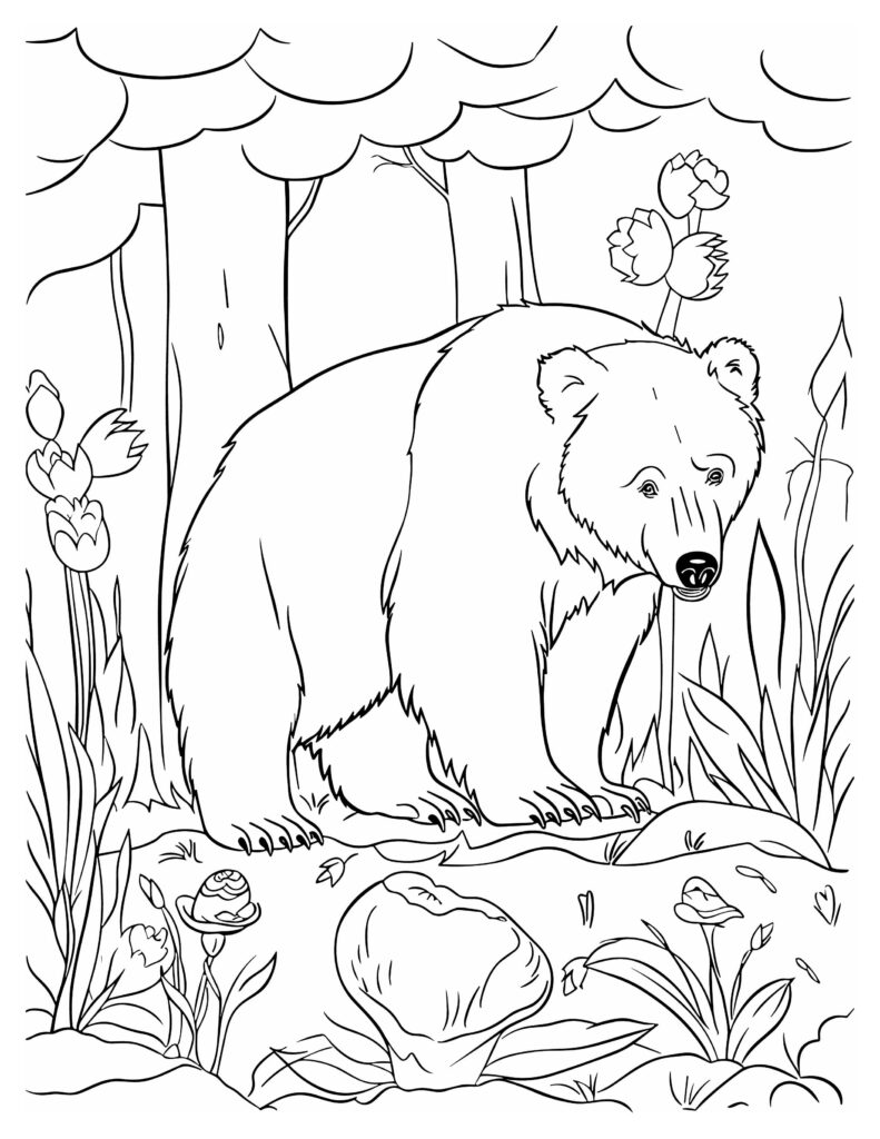 126 Brown Bear Coloring Pages Printable 80