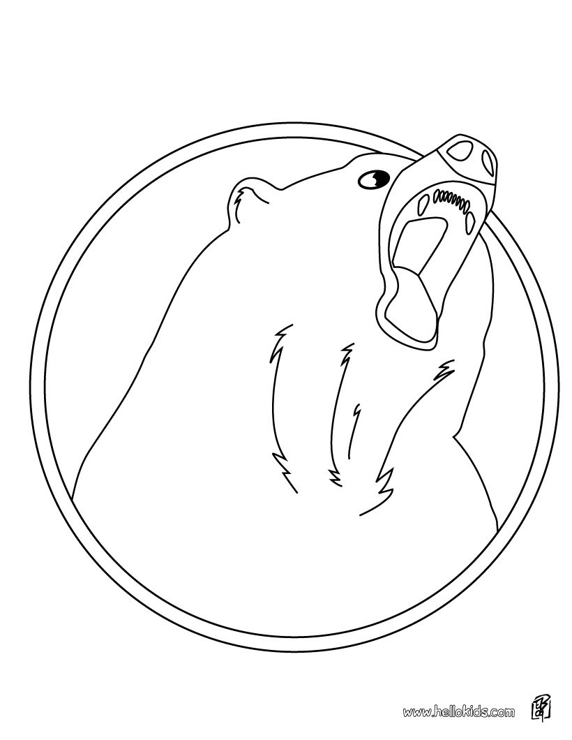 126 Brown Bear Coloring Pages Printable 82