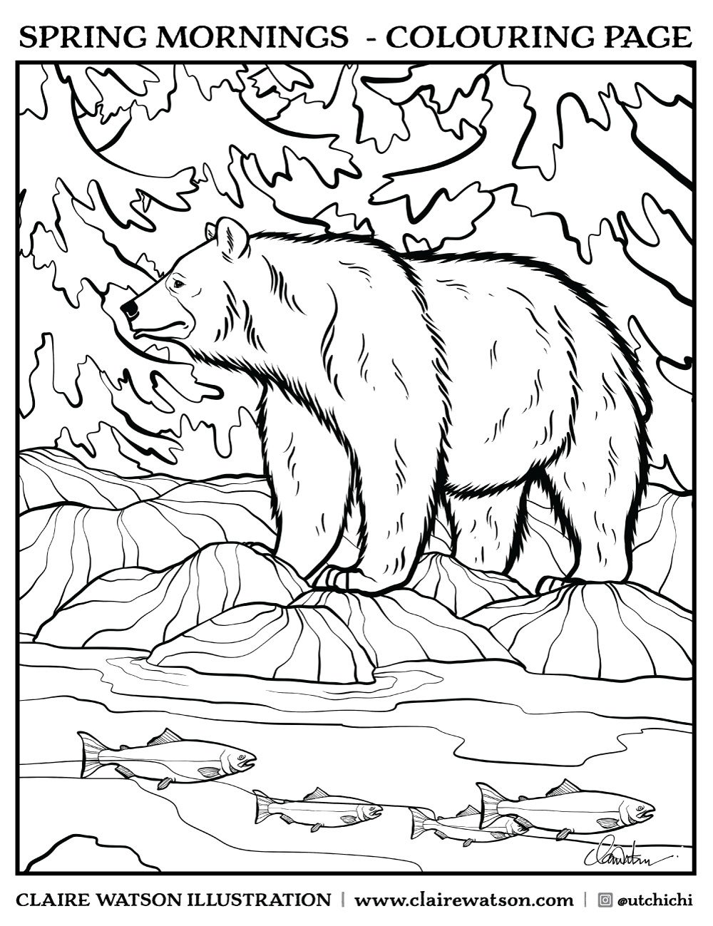 126 Brown Bear Coloring Pages Printable 88