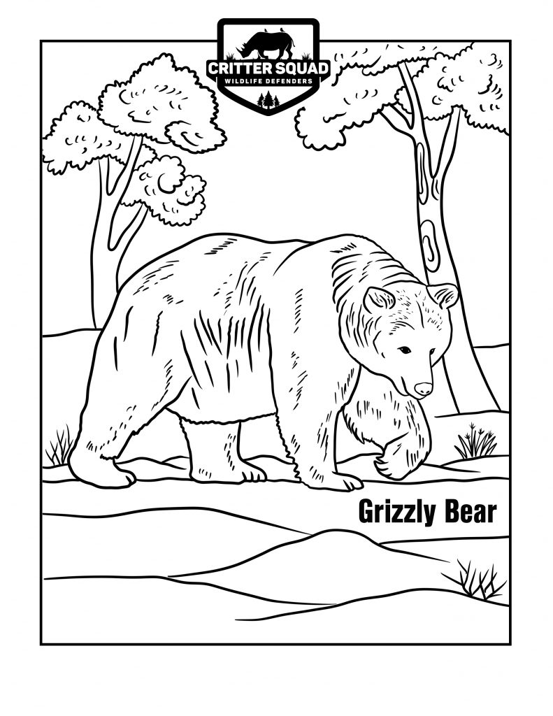 126 Brown Bear Coloring Pages Printable 94