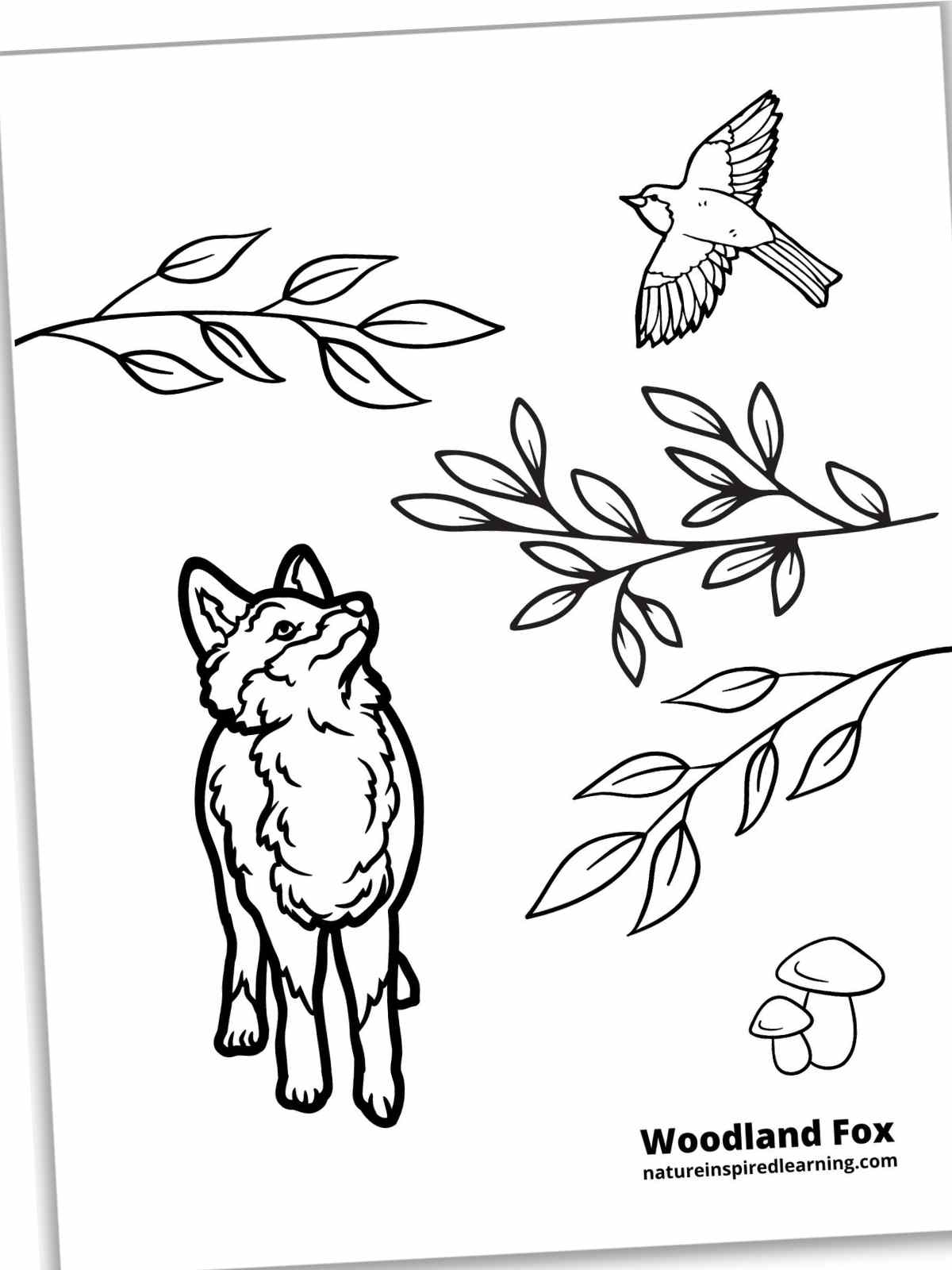 126 Brown Bear Coloring Pages Printable 96