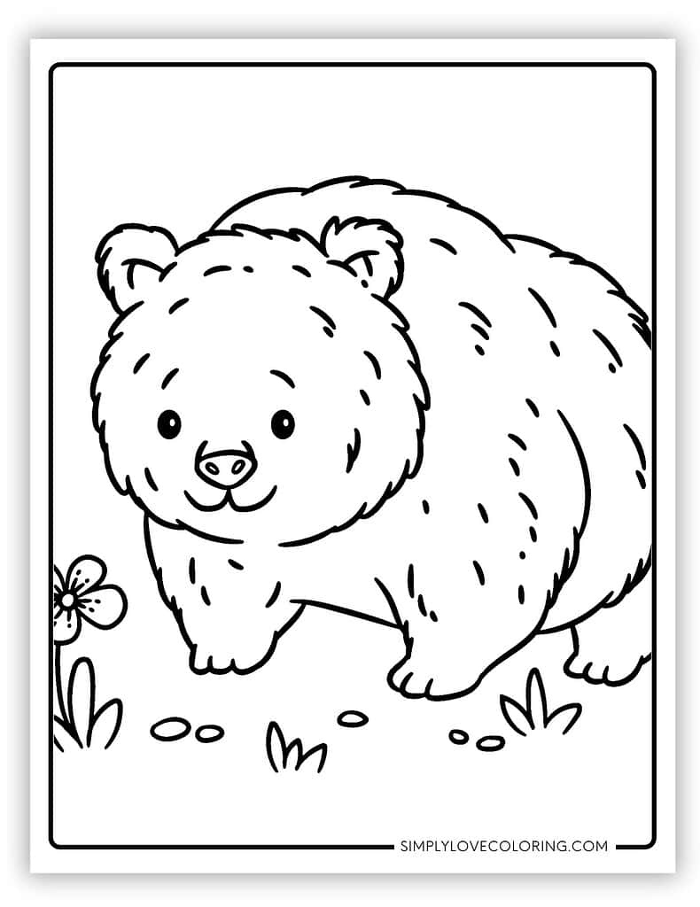 126 Brown Bear Coloring Pages Printable 99