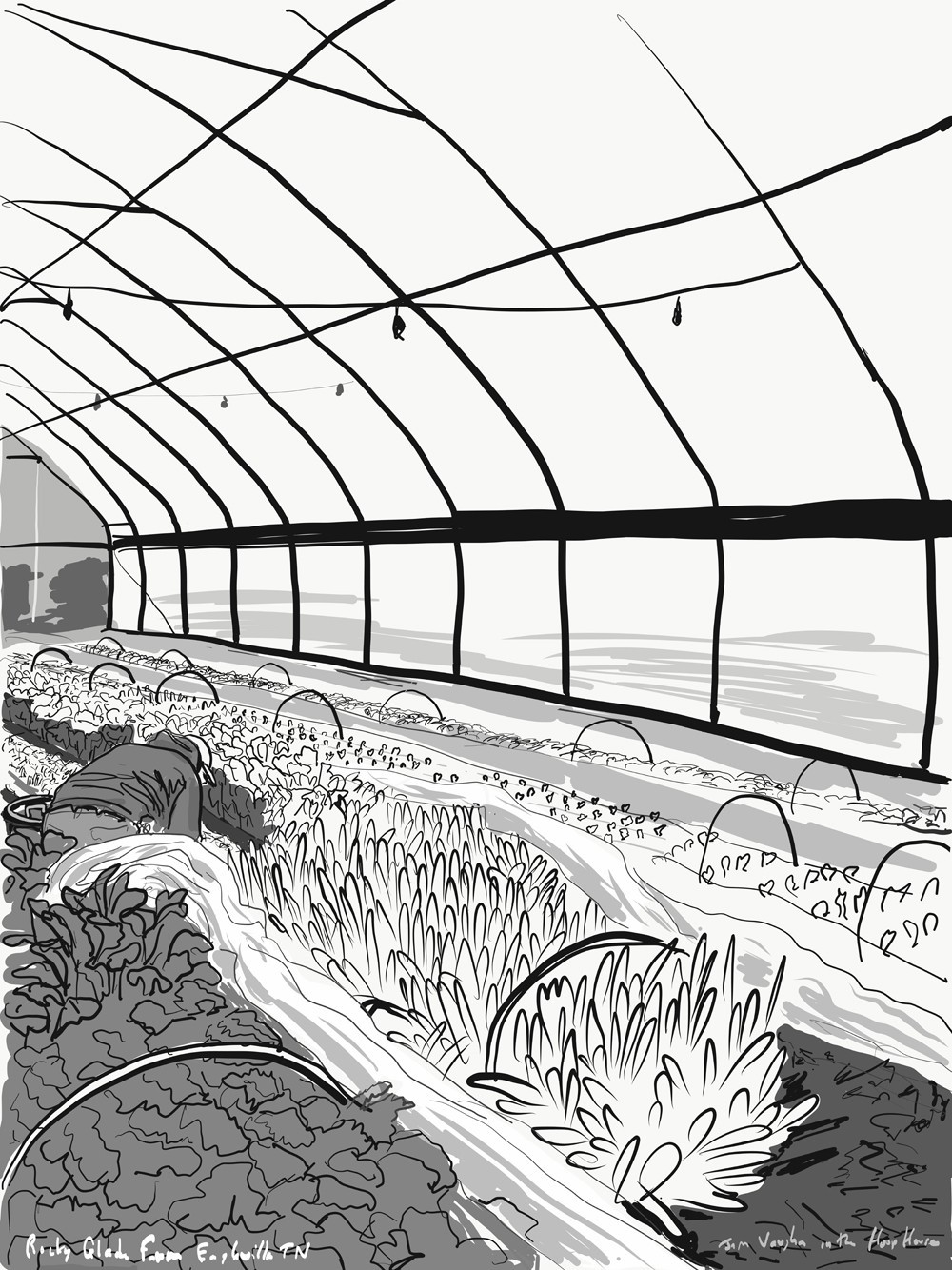 128+ Greenhouse Coloring Pages Printable 56