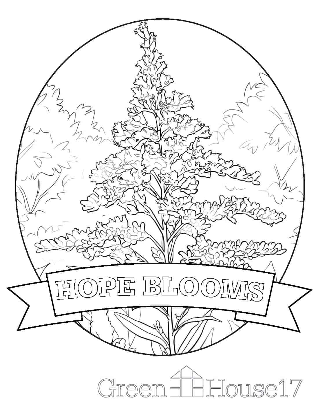 128+ Greenhouse Coloring Pages Printable 58