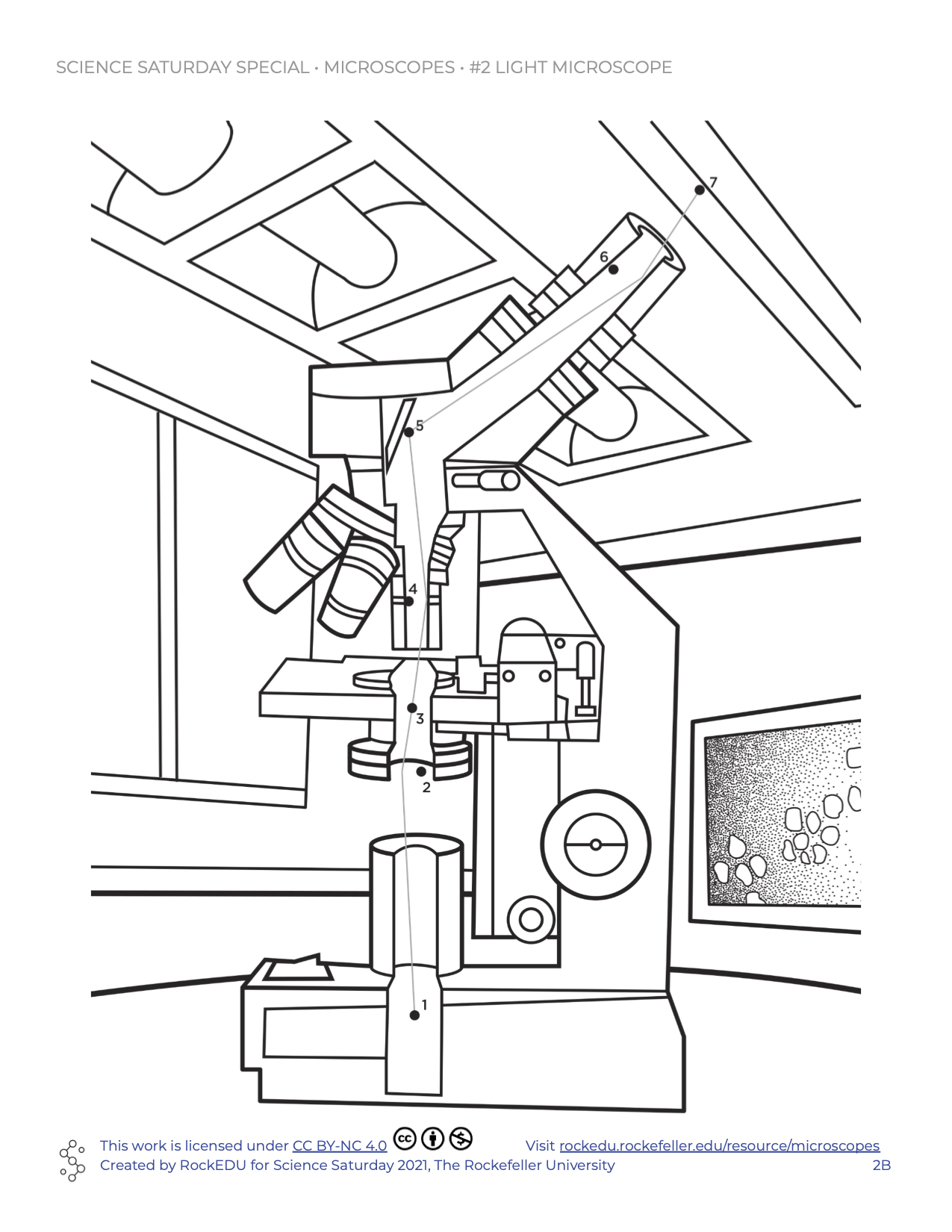 128+ Greenhouse Coloring Pages Printable 74