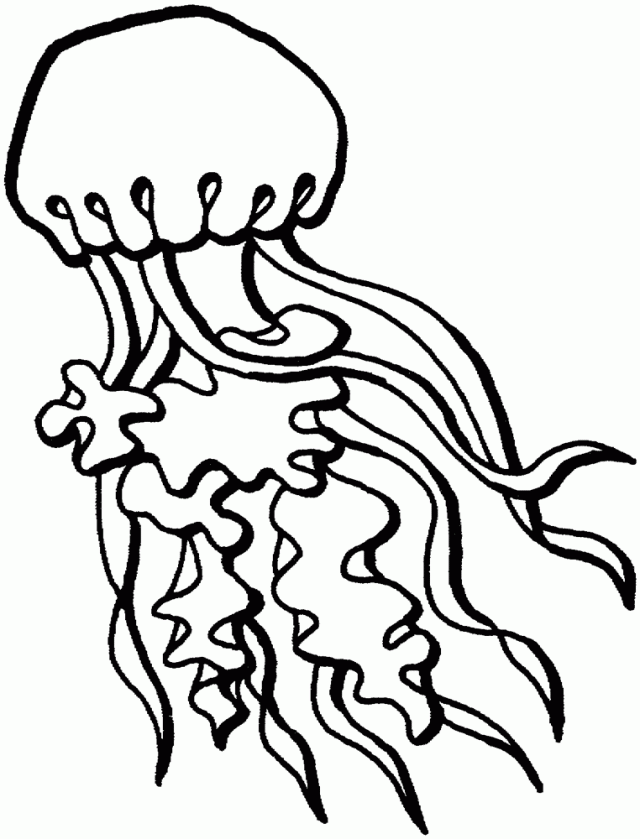 150+ Jellyfish Coloring Page Designs: Underwater Adventure 119