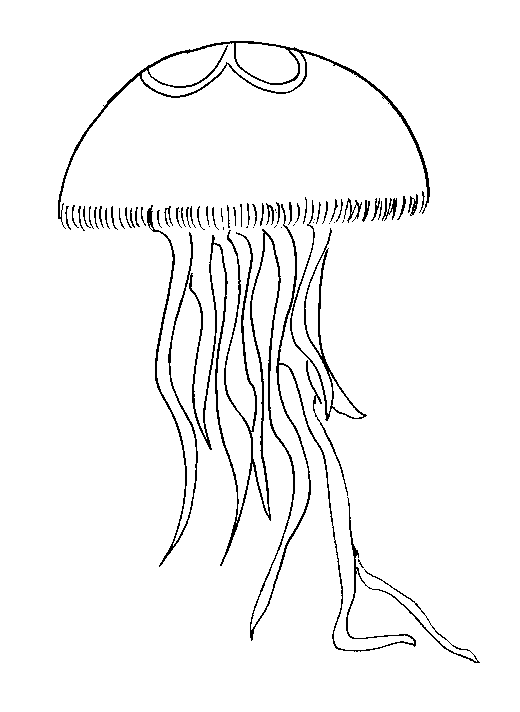 150+ Jellyfish Coloring Page Designs: Underwater Adventure 45