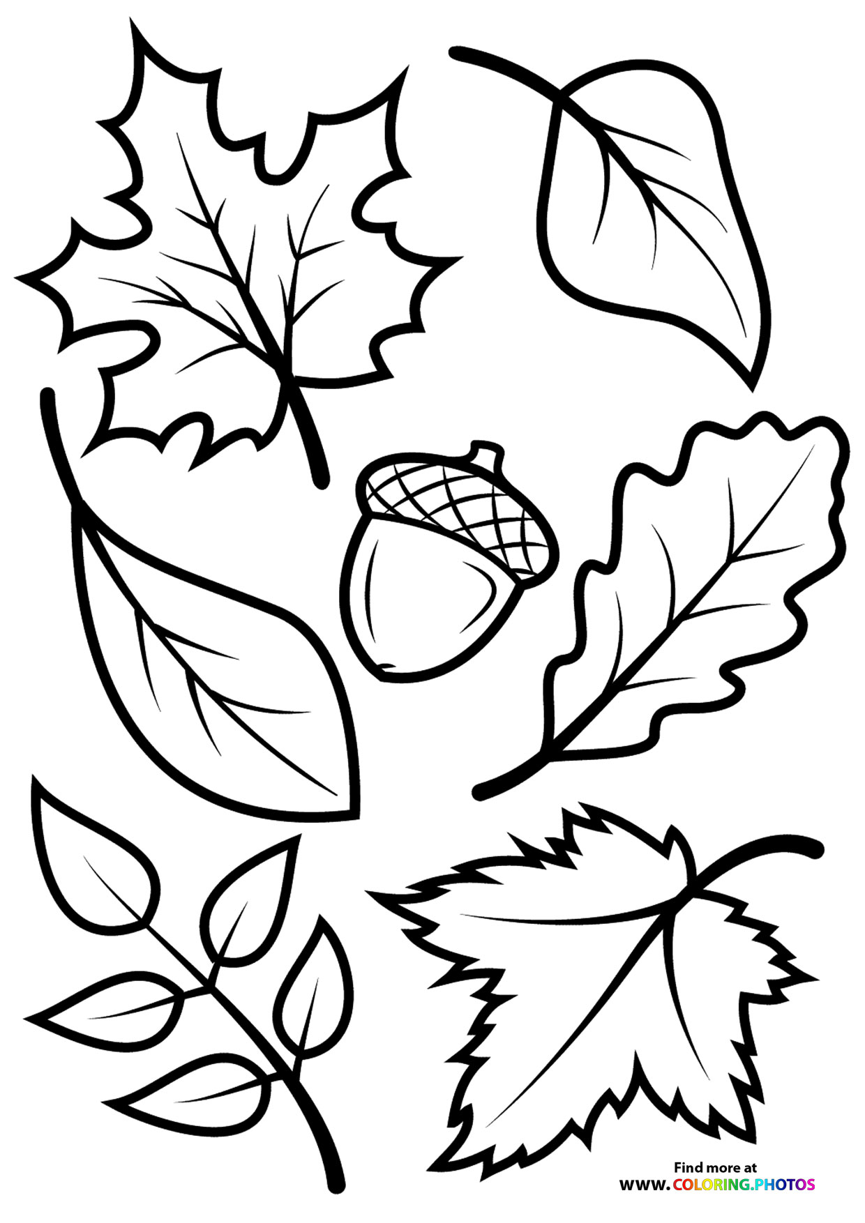 150 Printable Fall Guys Coloring Pages 133