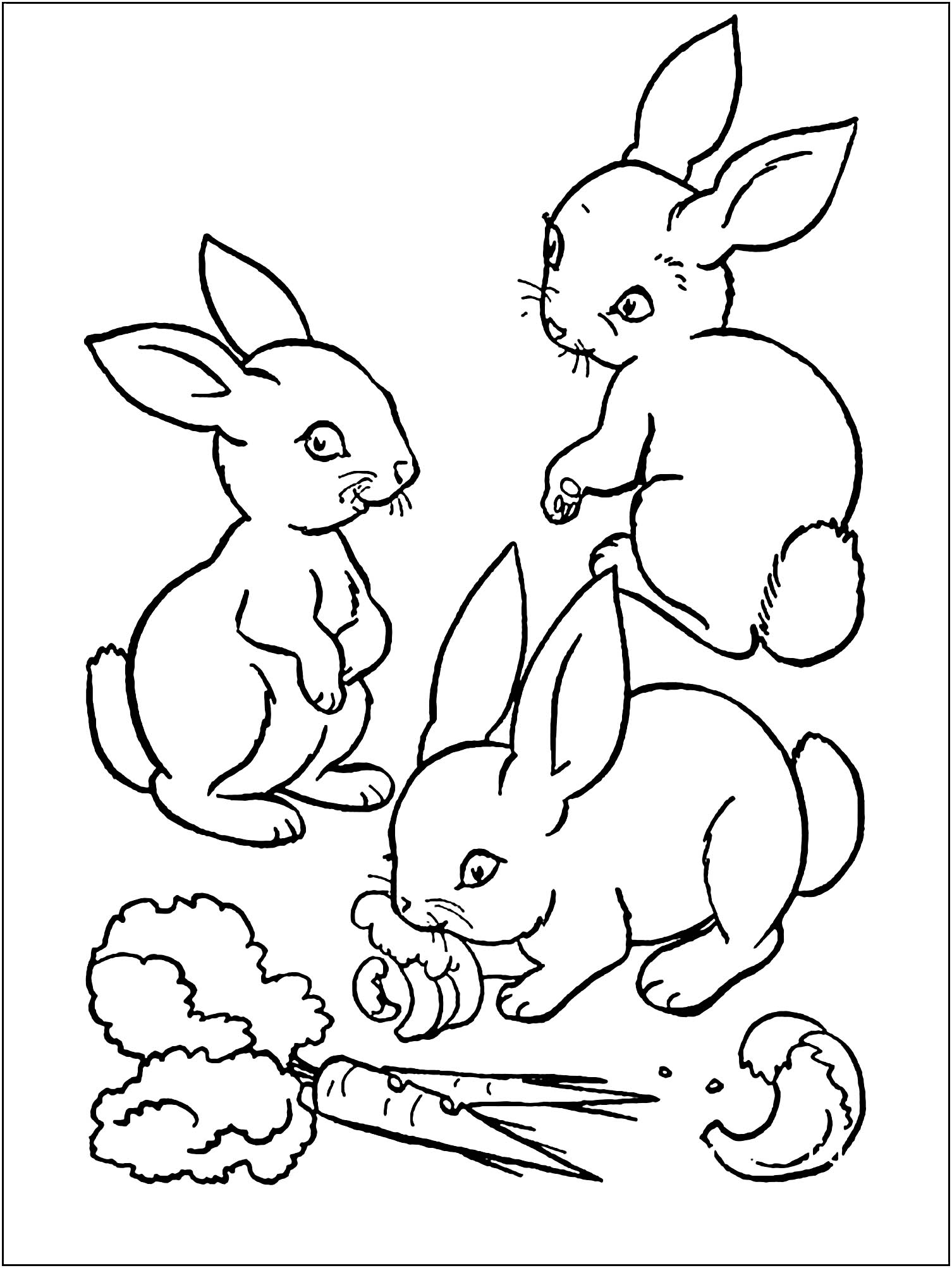 80+ Bunny Coloring Pages 22