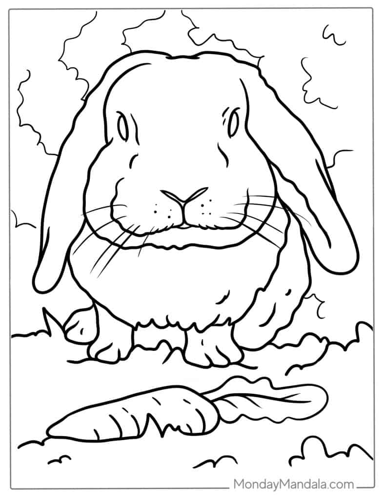 80+ Bunny Coloring Pages 44