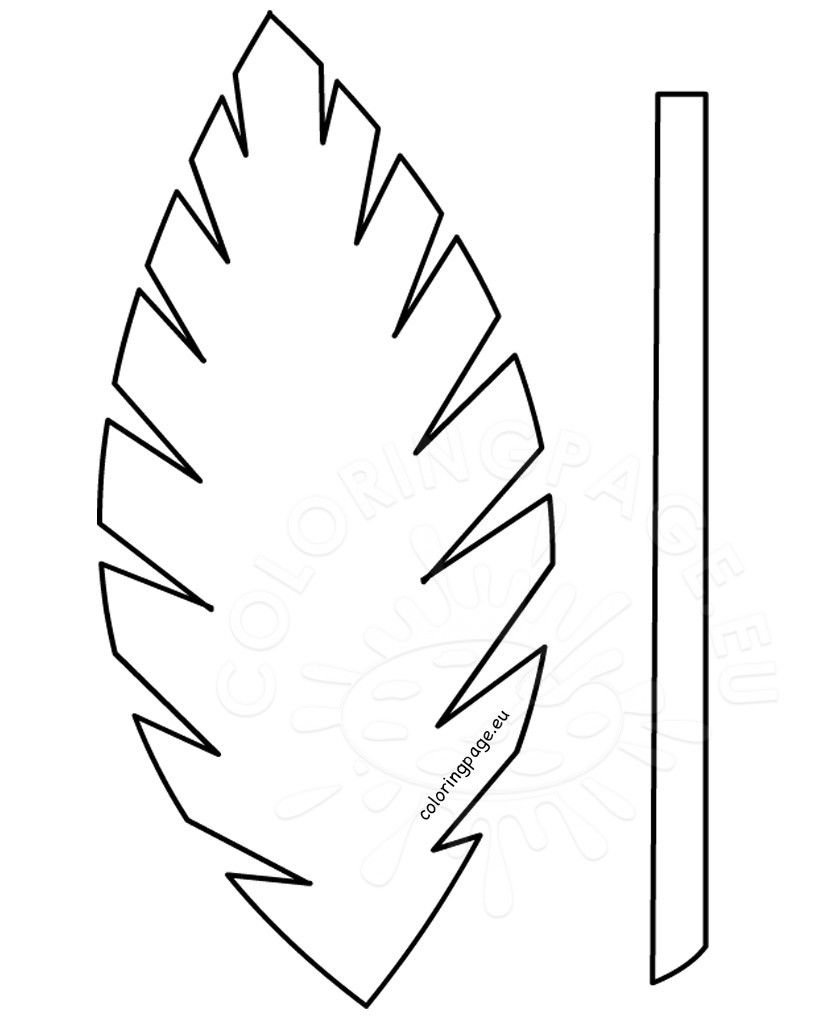 98 Palm Tree Coloring Pages Free Printable 16