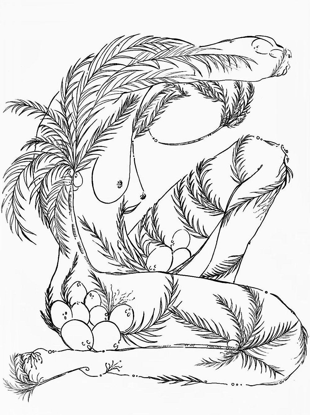 98 Palm Tree Coloring Pages Free Printable 17