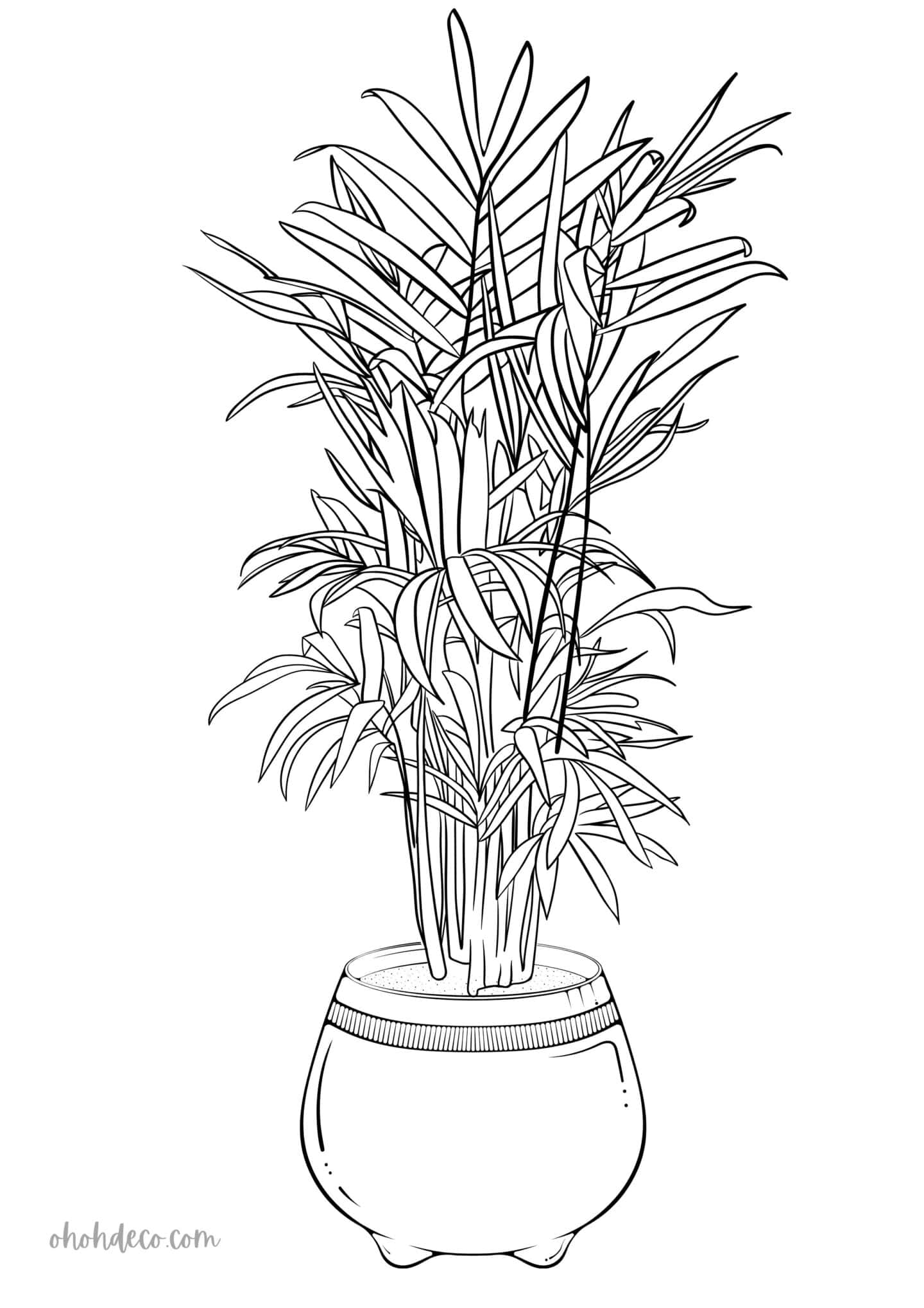 98 Palm Tree Coloring Pages Free Printable 33