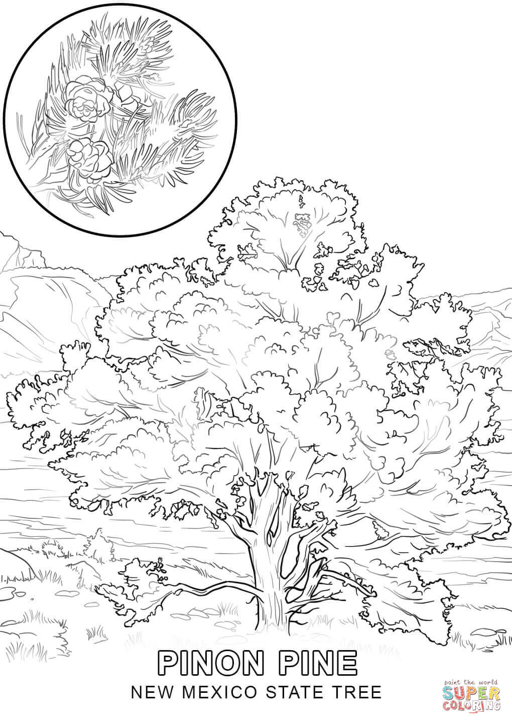 98 Palm Tree Coloring Pages Free Printable 36