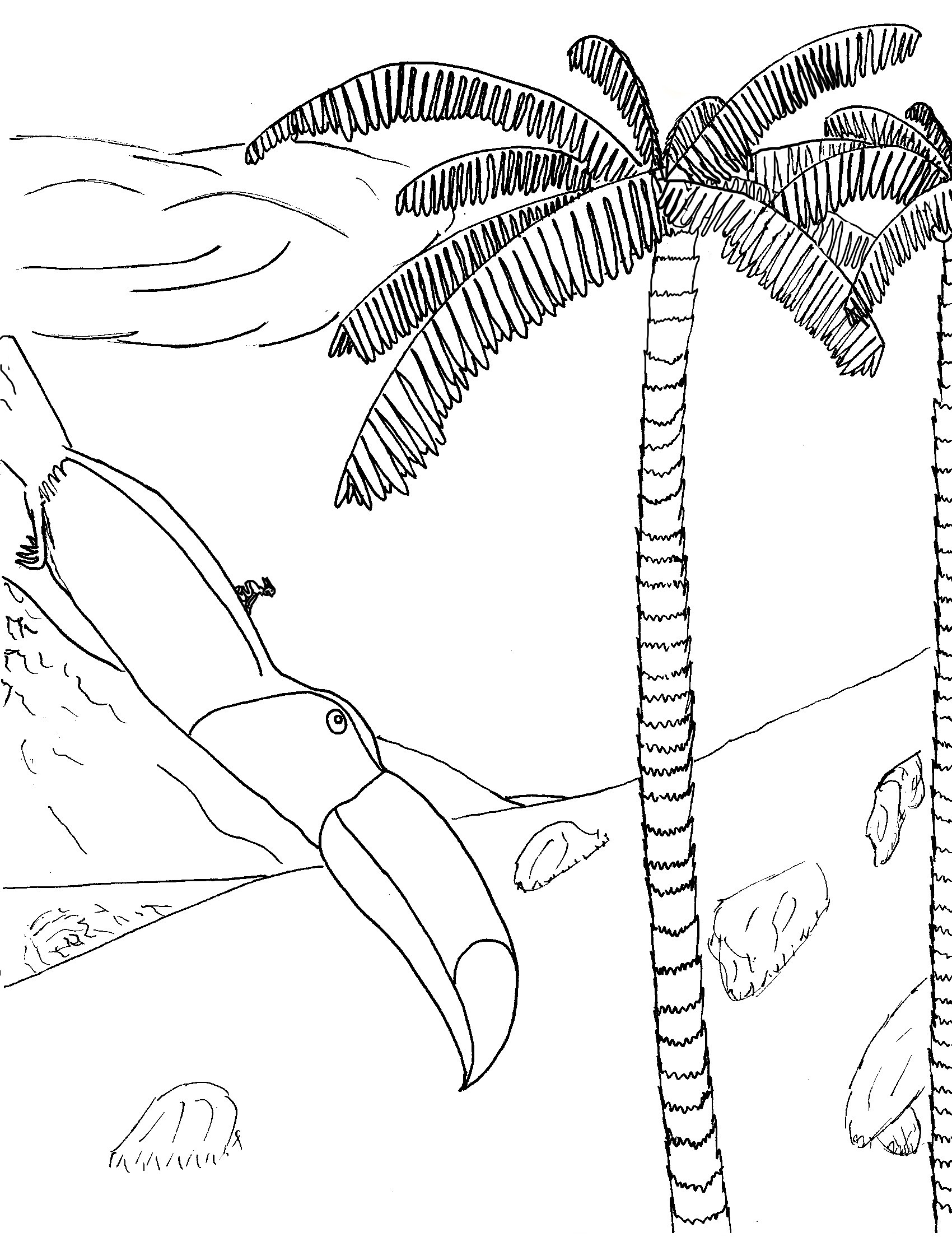 98 Palm Tree Coloring Pages Free Printable 37