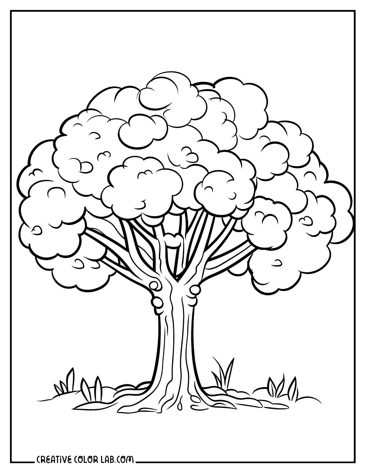 98 Palm Tree Coloring Pages Free Printable 38