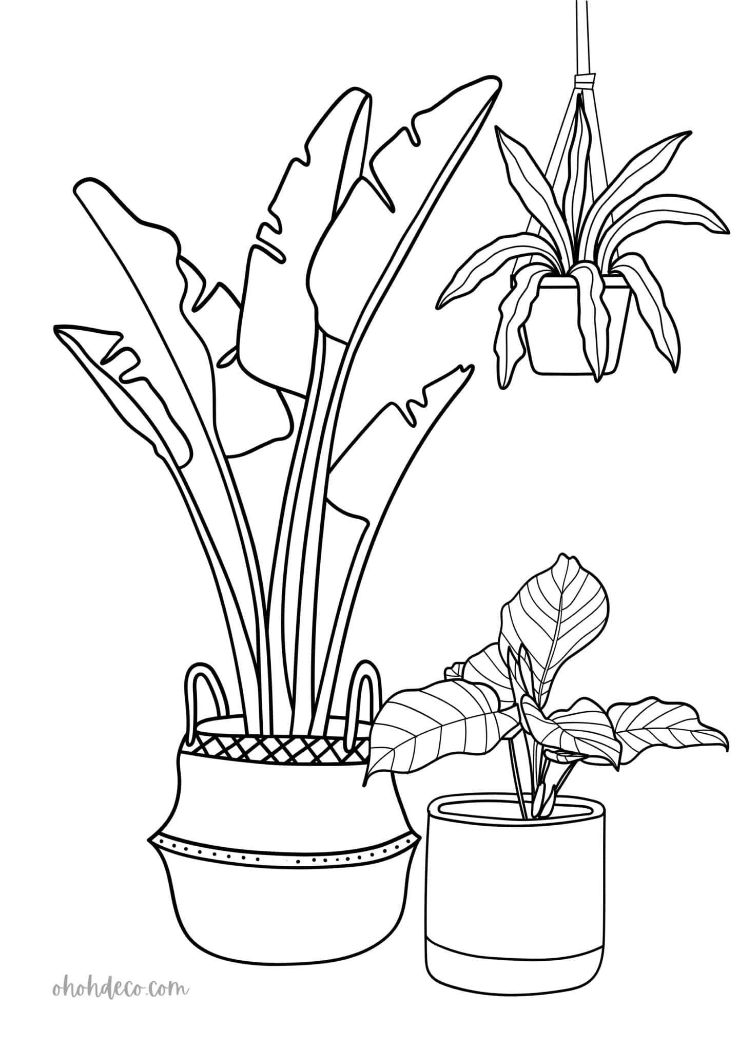 98 Palm Tree Coloring Pages Free Printable 43