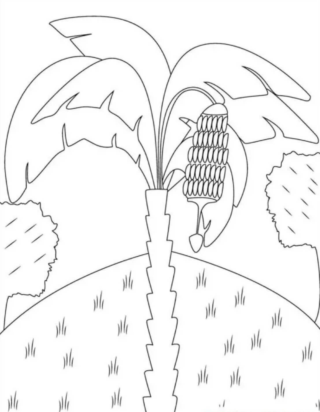 98 Palm Tree Coloring Pages Free Printable 76