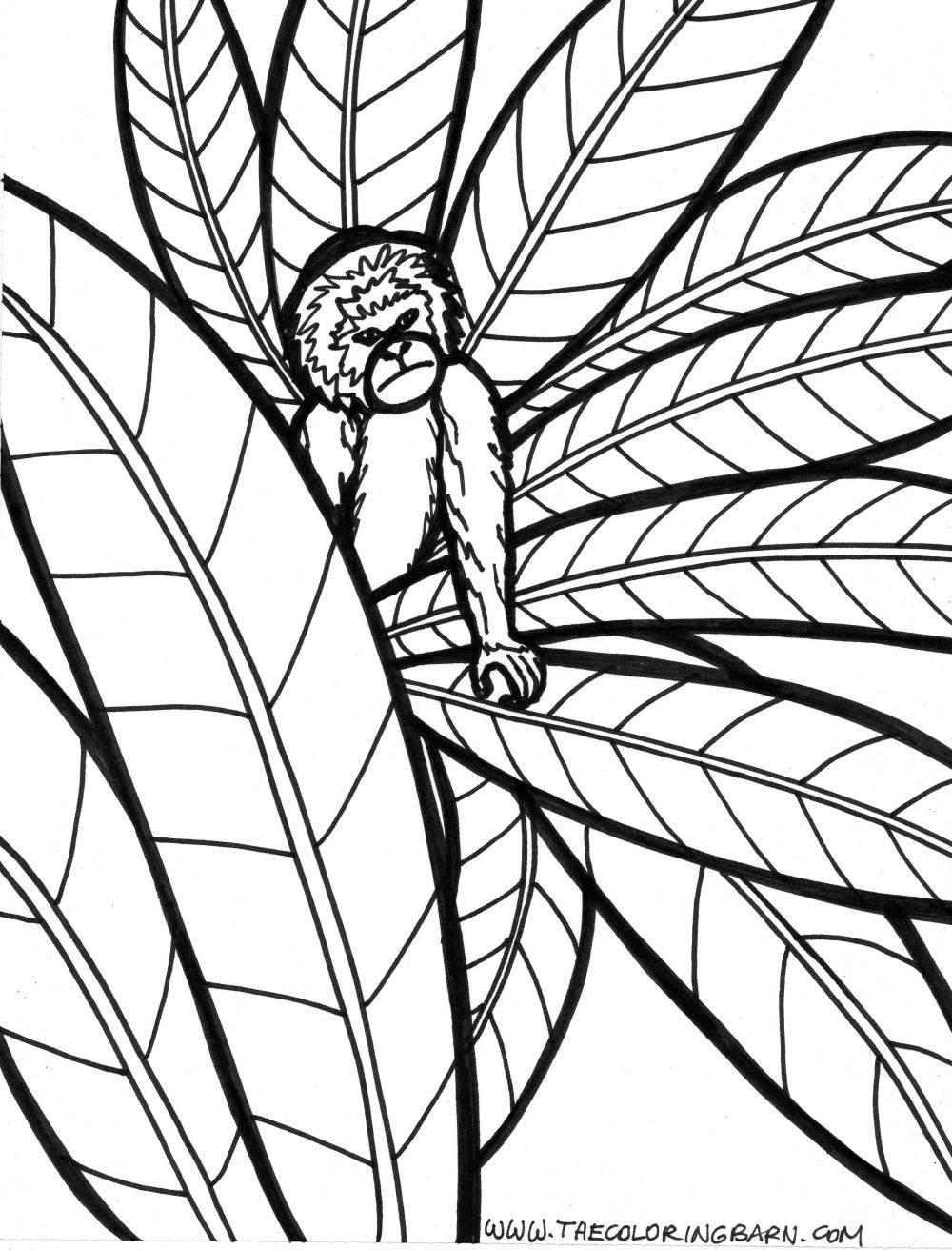 98 Palm Tree Coloring Pages Free Printable 82