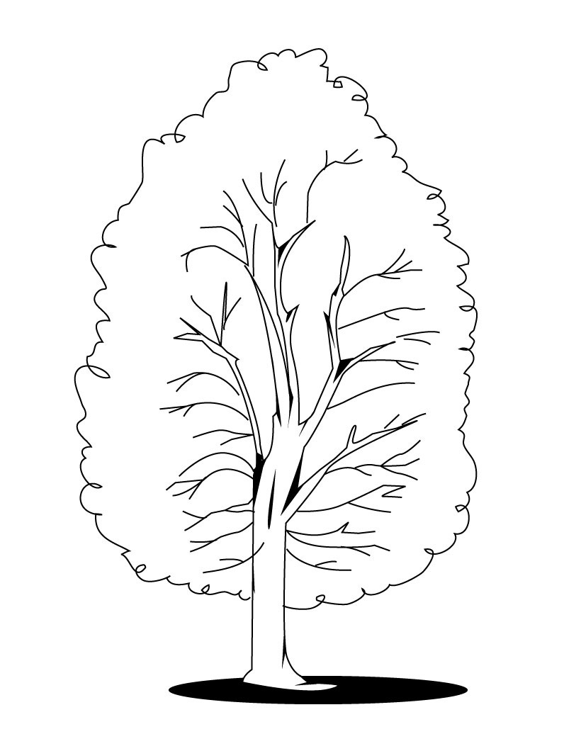 98 Palm Tree Coloring Pages Free Printable 98