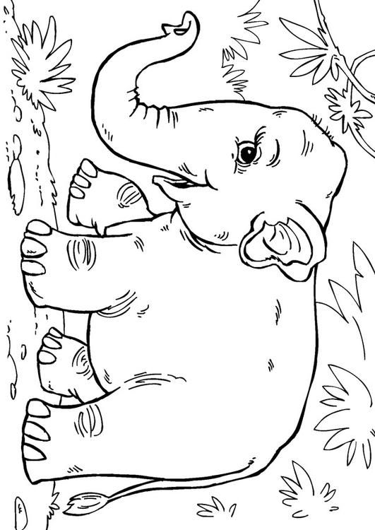 114 Asia Coloring Pages Printable 23