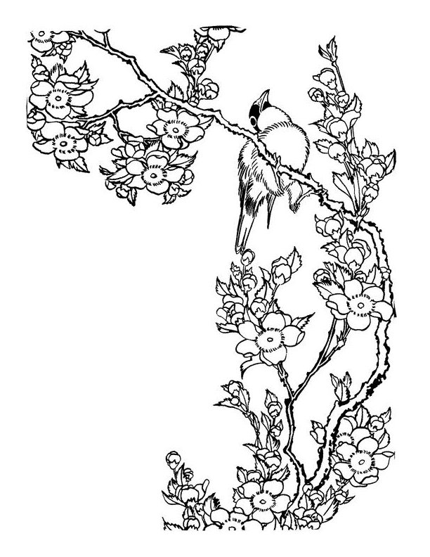 115 Japan Coloring Pages Printable 100