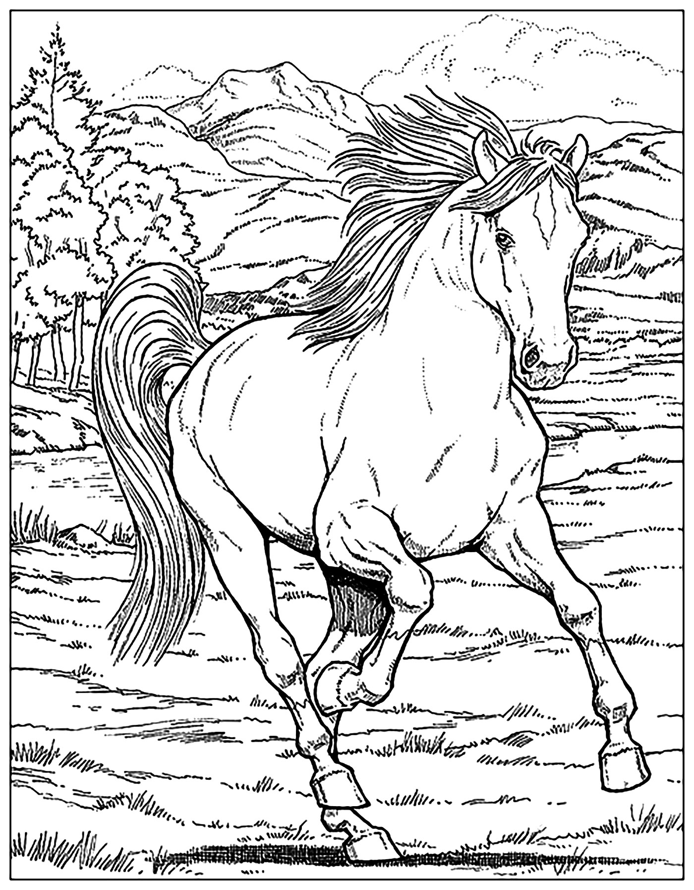 133 Free Horse Coloring Pages for Kids Printable 1