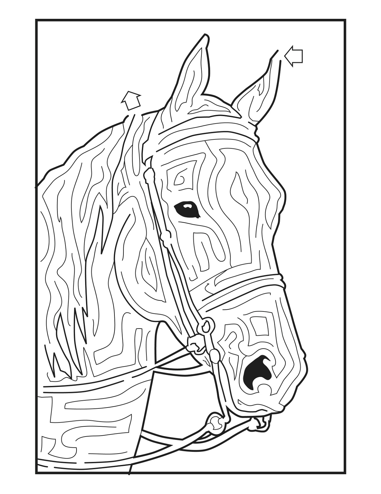 133 Free Horse Coloring Pages for Kids Printable 104