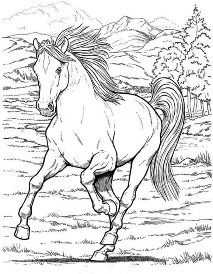 133 Free Horse Coloring Pages for Kids Printable 111