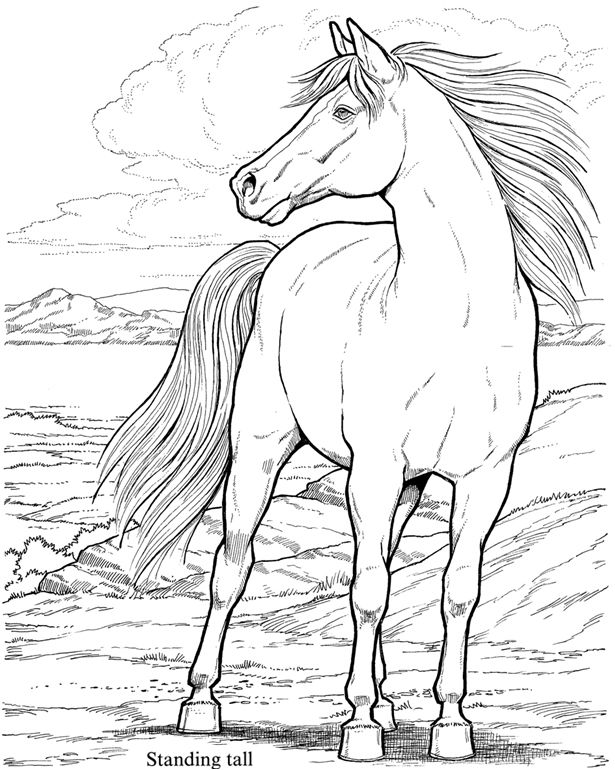 133 Free Horse Coloring Pages for Kids Printable 113