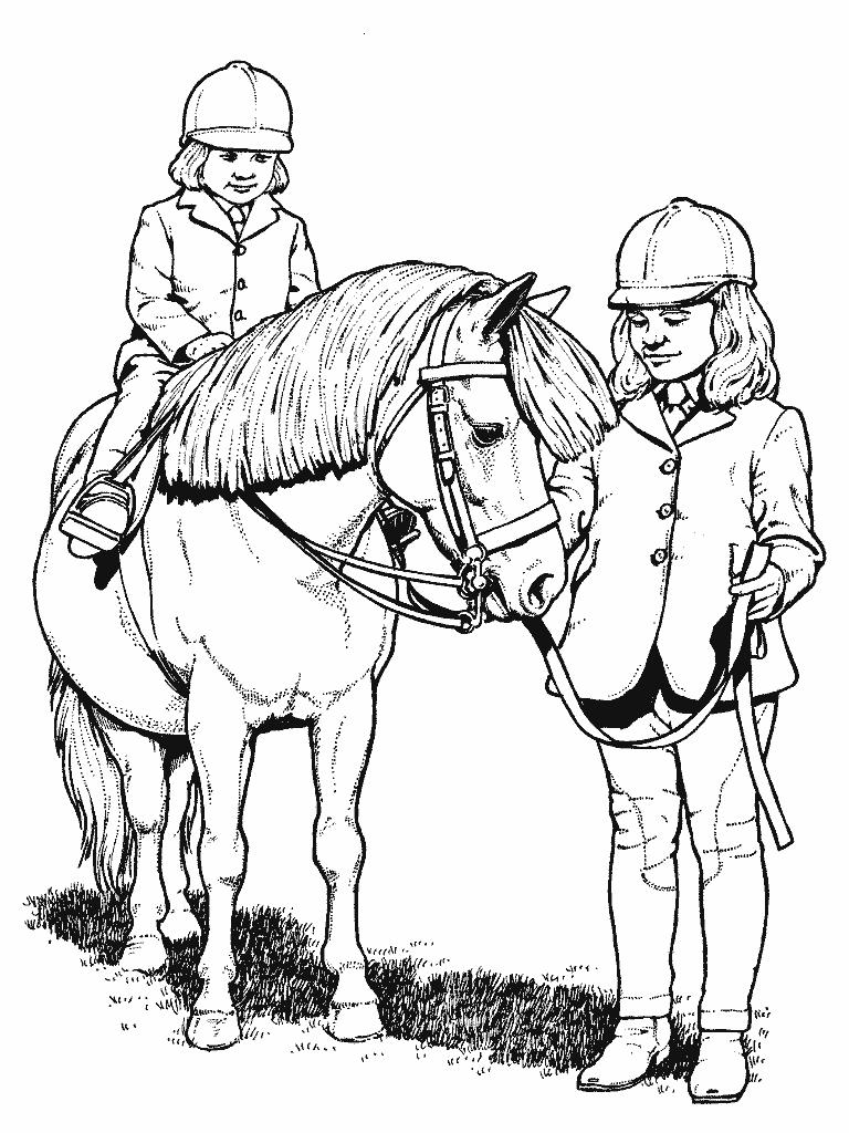 133 Free Horse Coloring Pages for Kids Printable 119