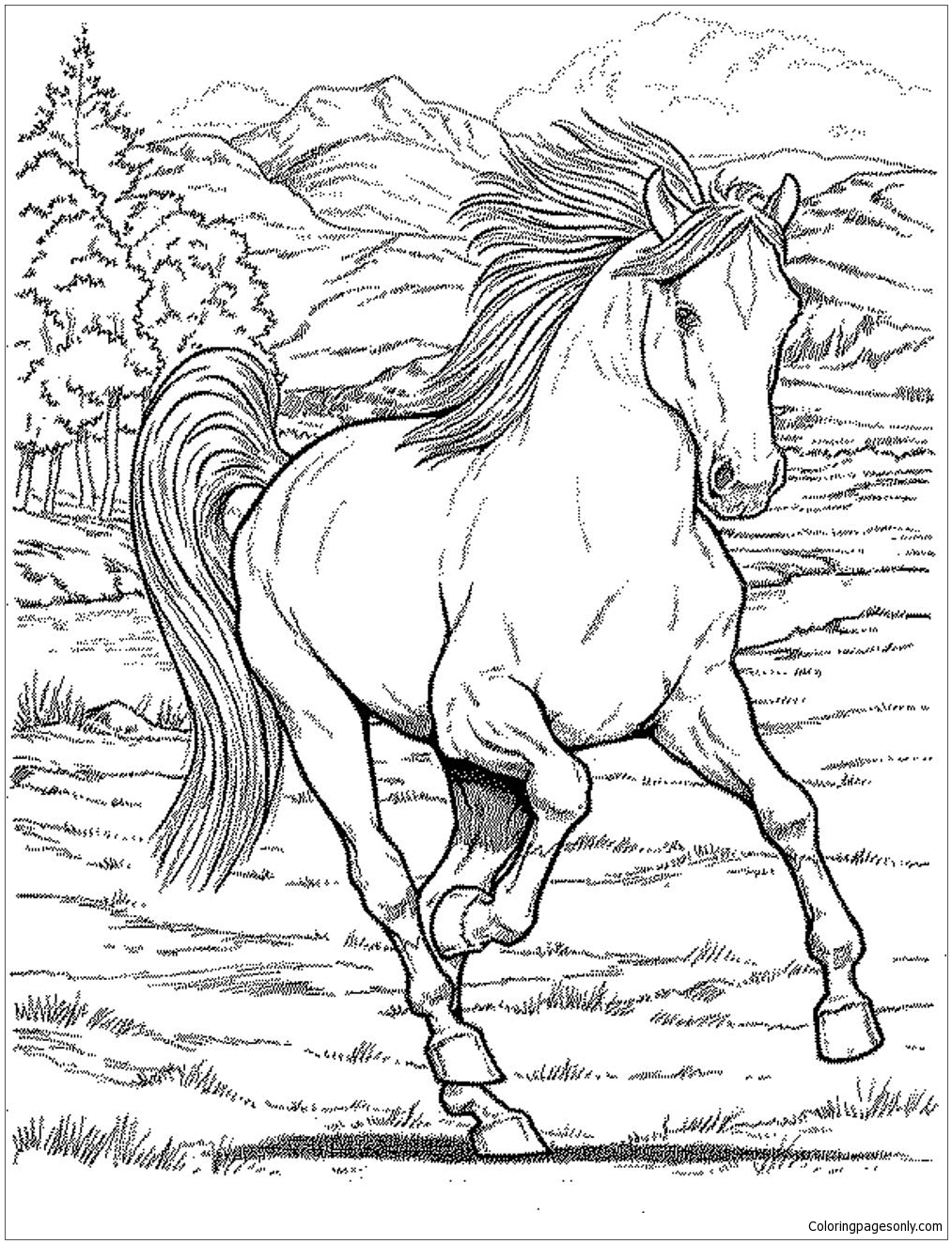 133 Free Horse Coloring Pages for Kids Printable 123