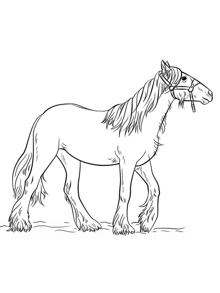 133 Free Horse Coloring Pages for Kids Printable 14