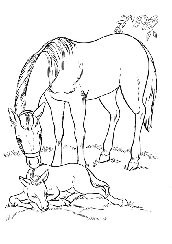 133 Free Horse Coloring Pages for Kids Printable 16