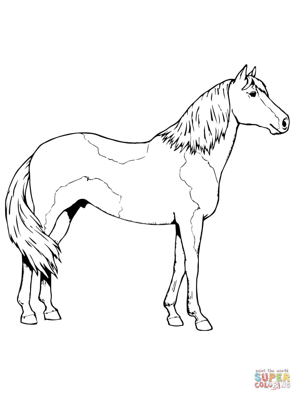 133 Free Horse Coloring Pages for Kids Printable 19