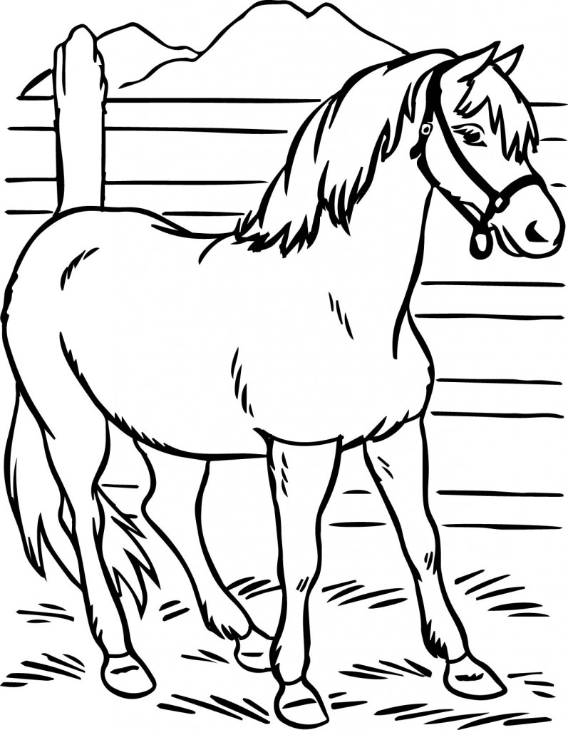 133 Free Horse Coloring Pages for Kids Printable 2