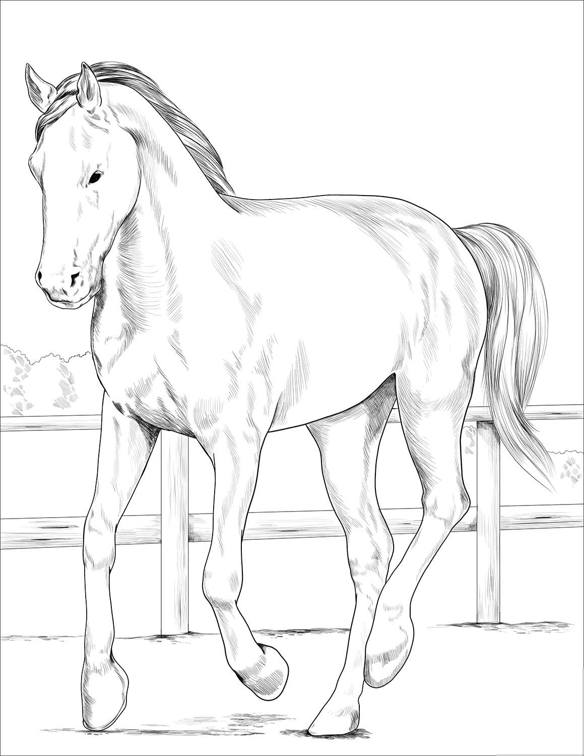 133 Free Horse Coloring Pages for Kids Printable 20