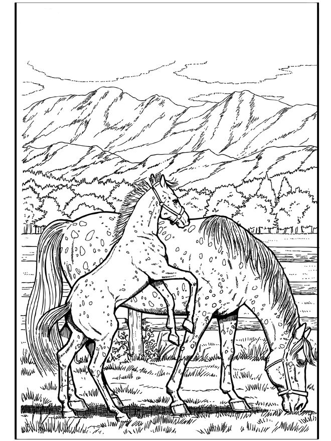 133 Free Horse Coloring Pages for Kids Printable 23