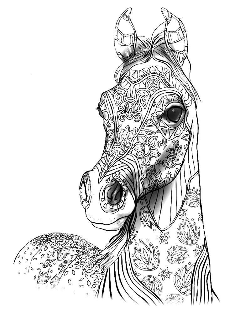 133 Free Horse Coloring Pages for Kids Printable 24