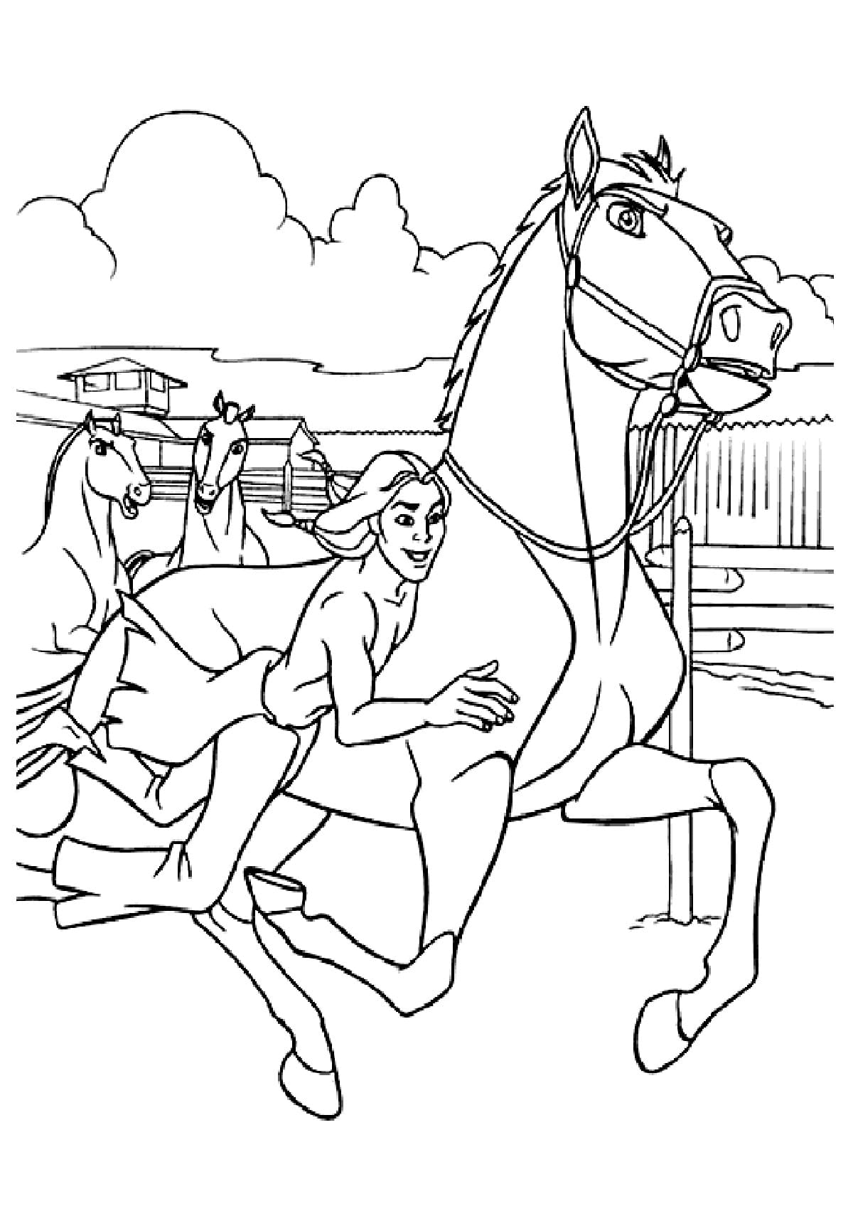 133 Free Horse Coloring Pages for Kids Printable 39