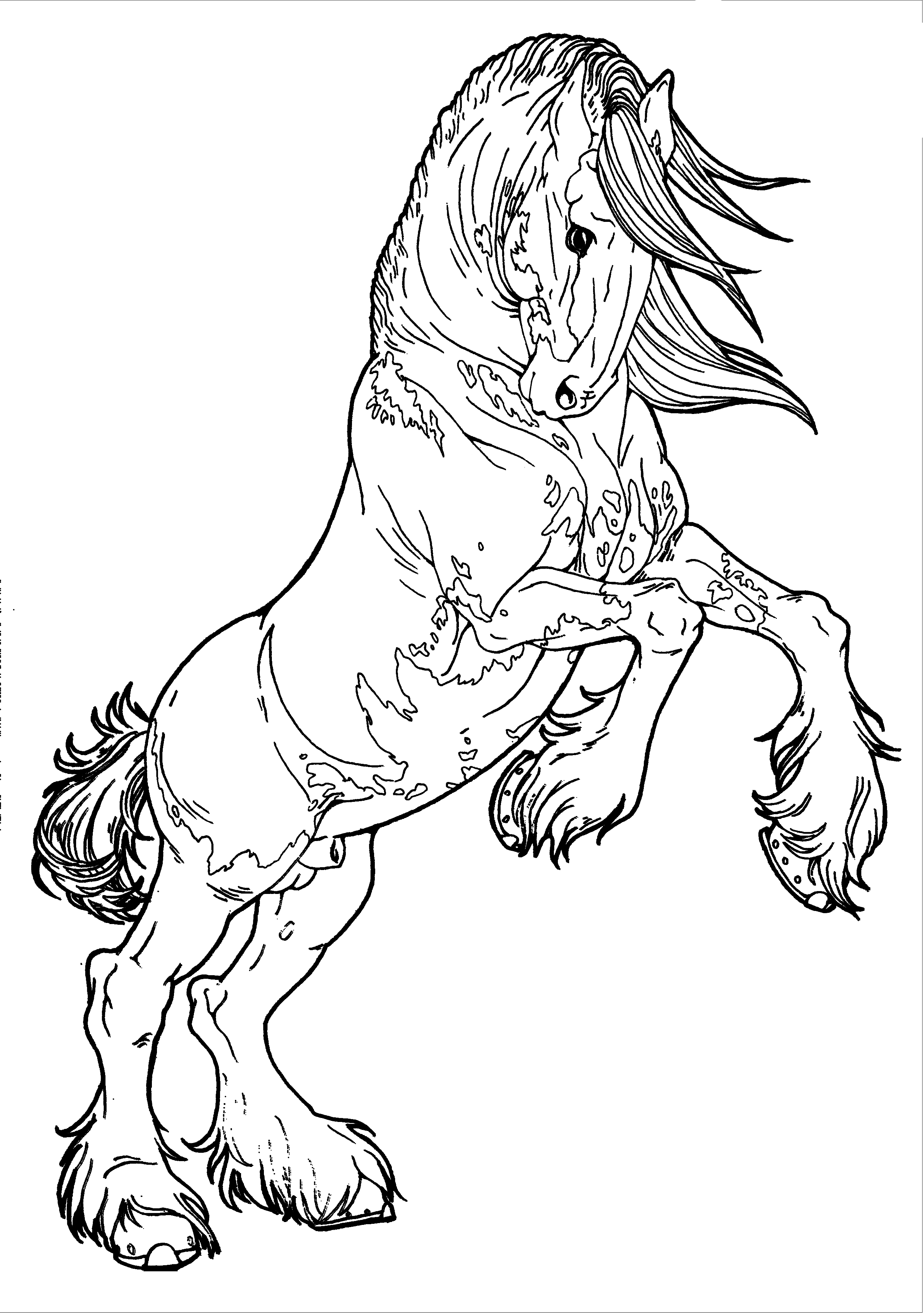 133 Free Horse Coloring Pages for Kids Printable 44