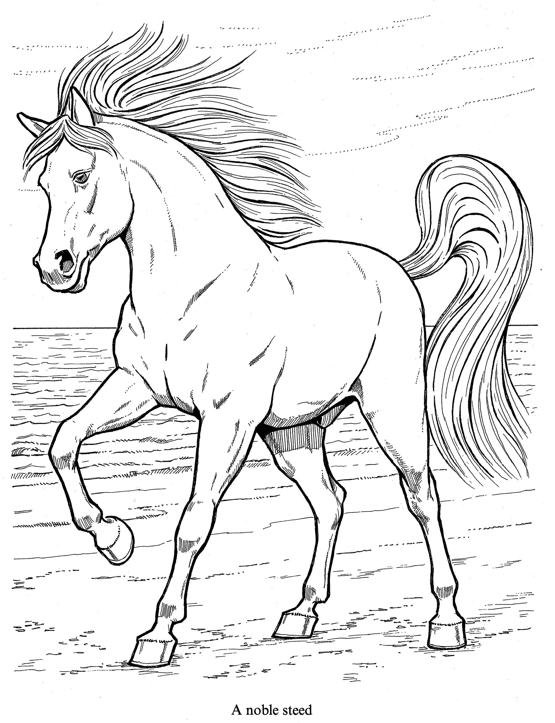 133 Free Horse Coloring Pages for Kids Printable 6