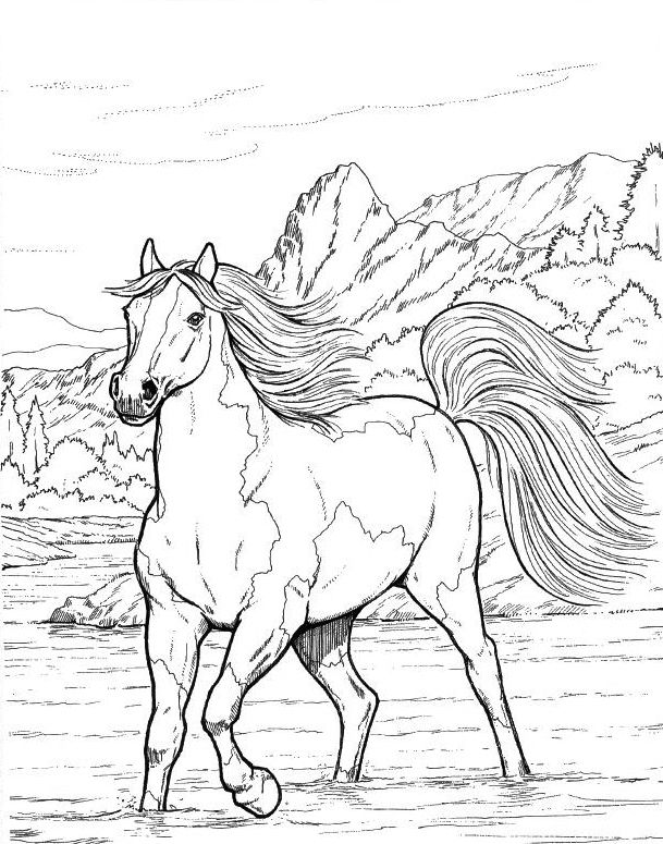 133 Free Horse Coloring Pages for Kids Printable 63