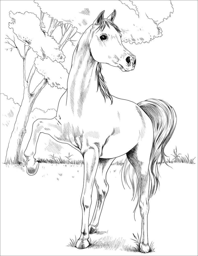 133 Free Horse Coloring Pages for Kids Printable 65