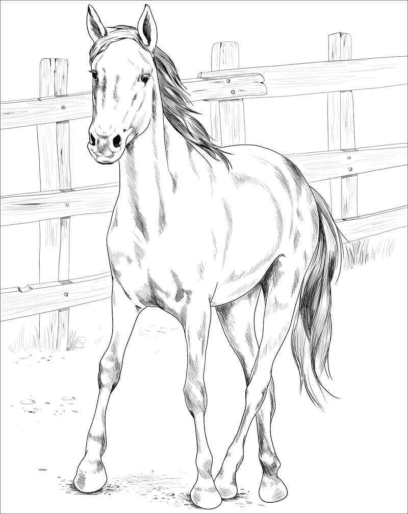 133 Free Horse Coloring Pages for Kids Printable 7