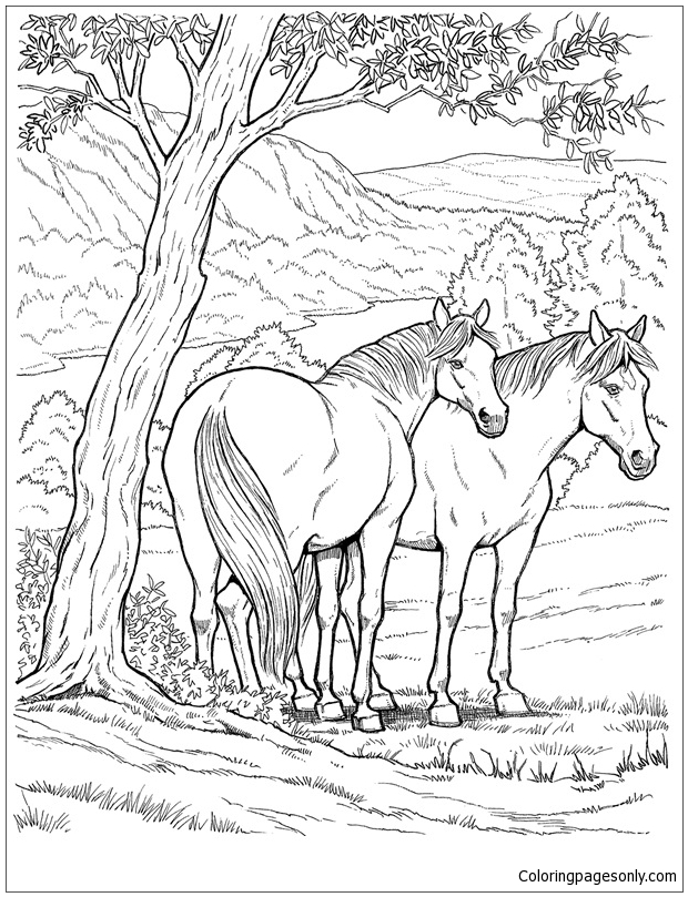 133 Free Horse Coloring Pages for Kids Printable 71