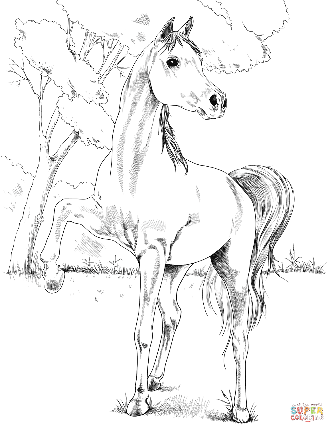 133 Free Horse Coloring Pages for Kids Printable 77