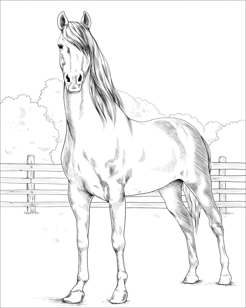 133 Free Horse Coloring Pages for Kids Printable 78